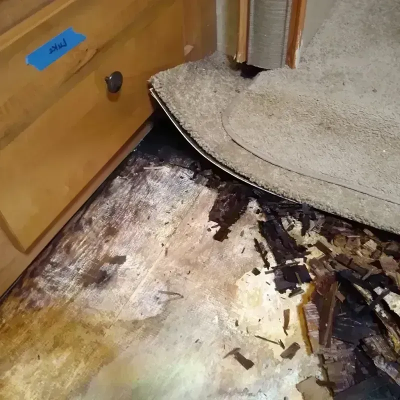 Wood Floor Water Damage in Durant, IA